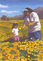 Perenials Among Annuals